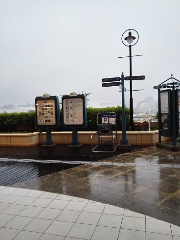 雨が降っている