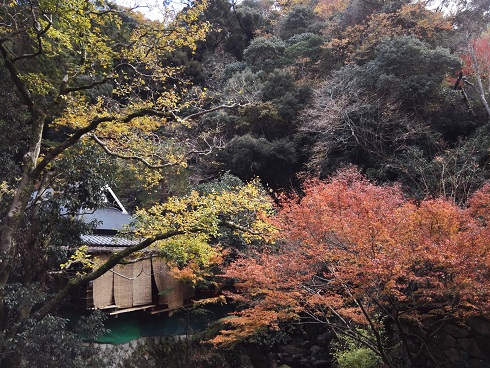 箕面公園-紅葉-01