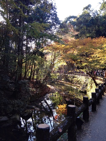 箕面公園-川-06