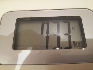 73.3kg