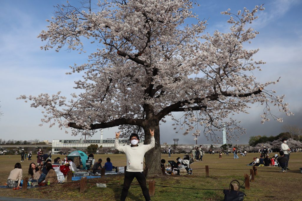 桜とチョッピー