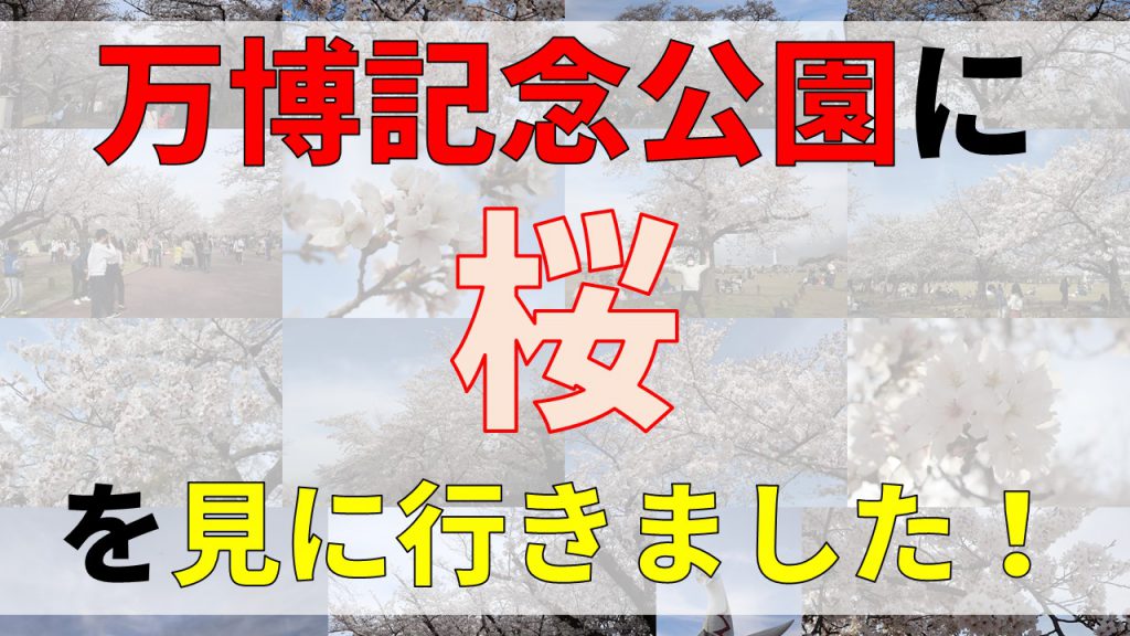 万博記念公園に桜を見に行きました！ 写真中心にご紹介します！