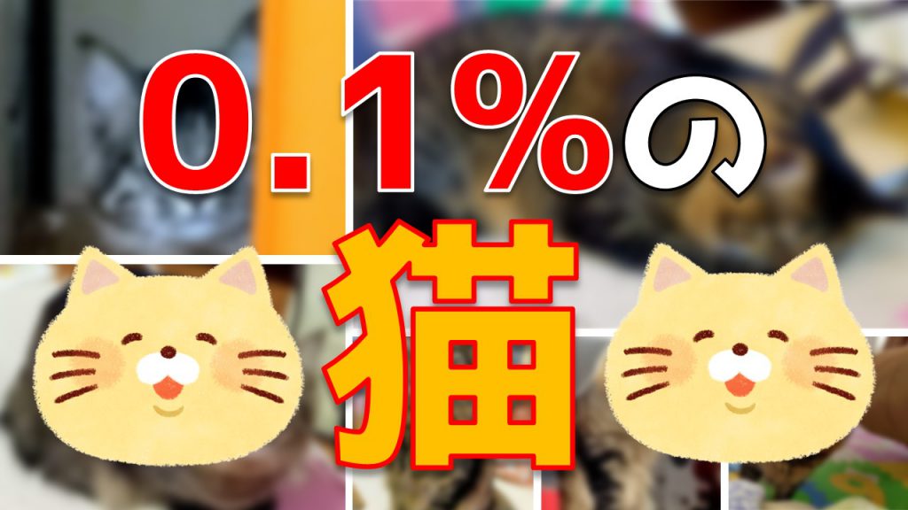 0.1%の猫