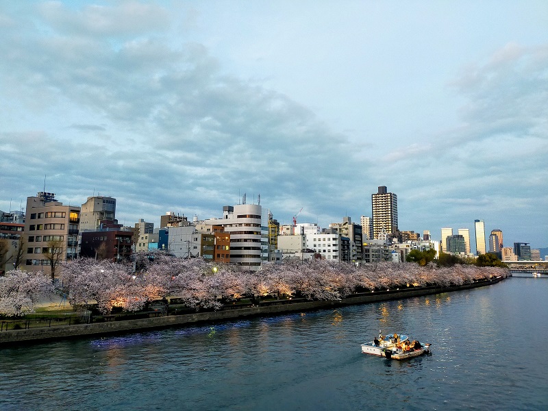 南天満公園の桜（川沿い）