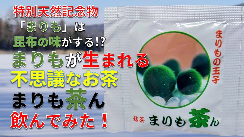 特別天然記念物「まりも」は昆布の味がする!? まりもが生まれる不思議なお茶「まりも茶ん」飲んでみた！