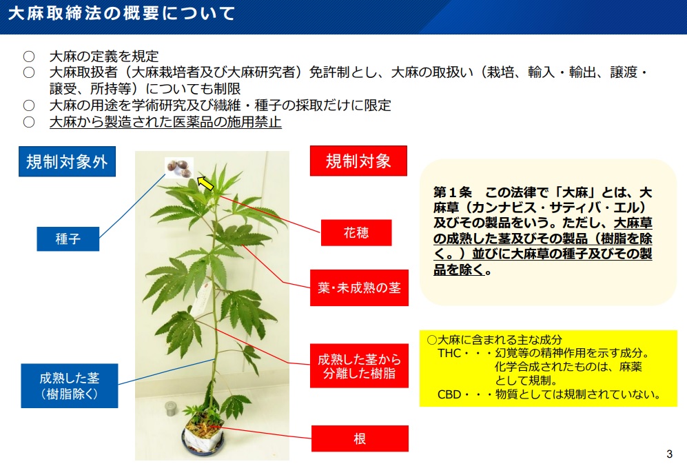 『大麻取締法等の改正に向けた検討状況について（大麻規制検討小委員会の第１回及び第２回の議論の振返りについて）(PDF)』より引用した画像です