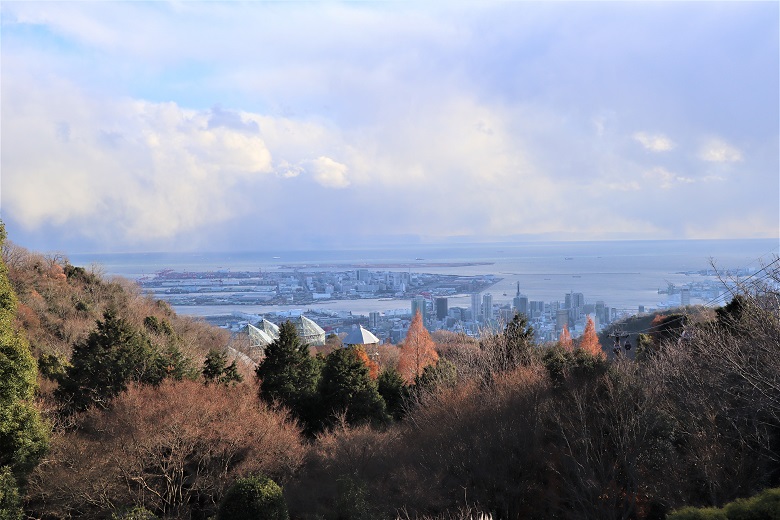 展望プラザから眺める神戸の街並みの画像です