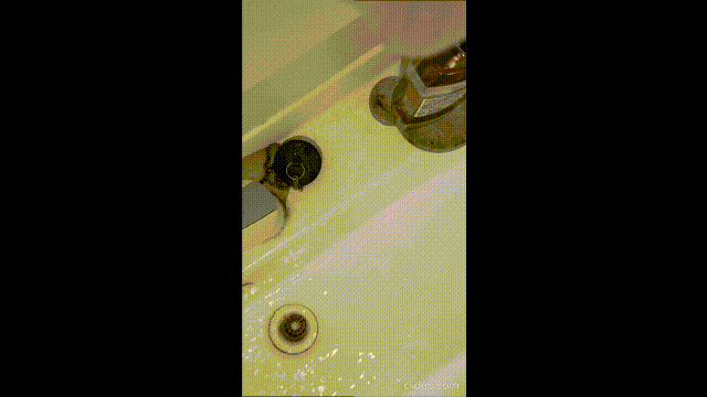 ペーパーソープ ローズの香りで手を洗う（3倍速）のgif動画です